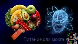 питание для мозга