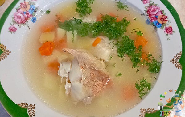 рыбацкий суп греческая кухня